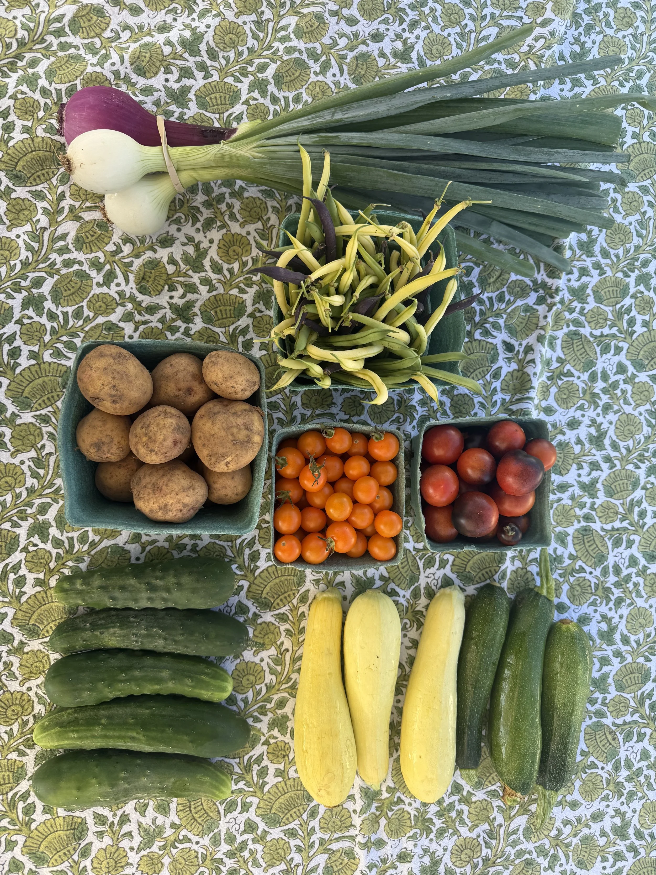 Produce CSA [Friday Pick Up]