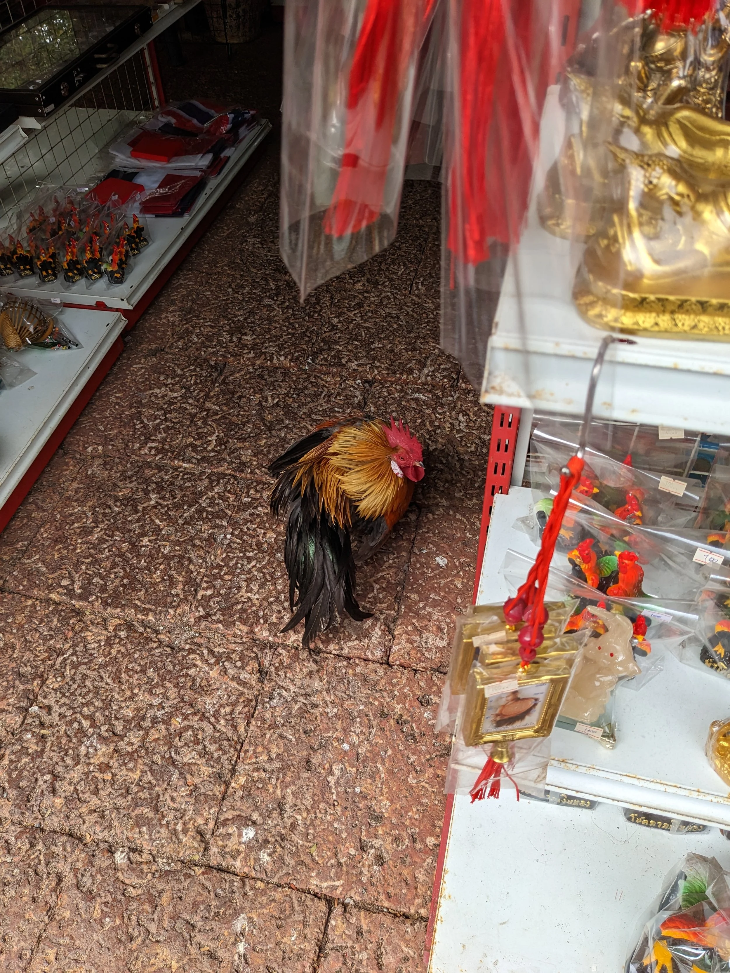 Objets trouvés