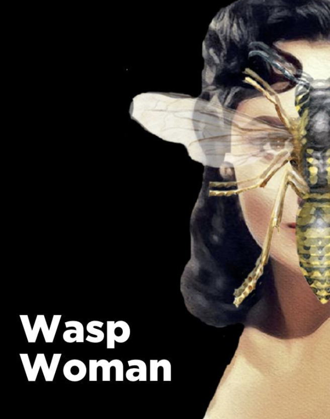 WASP WOMAN
Embankment
Full Post Production & Delivery