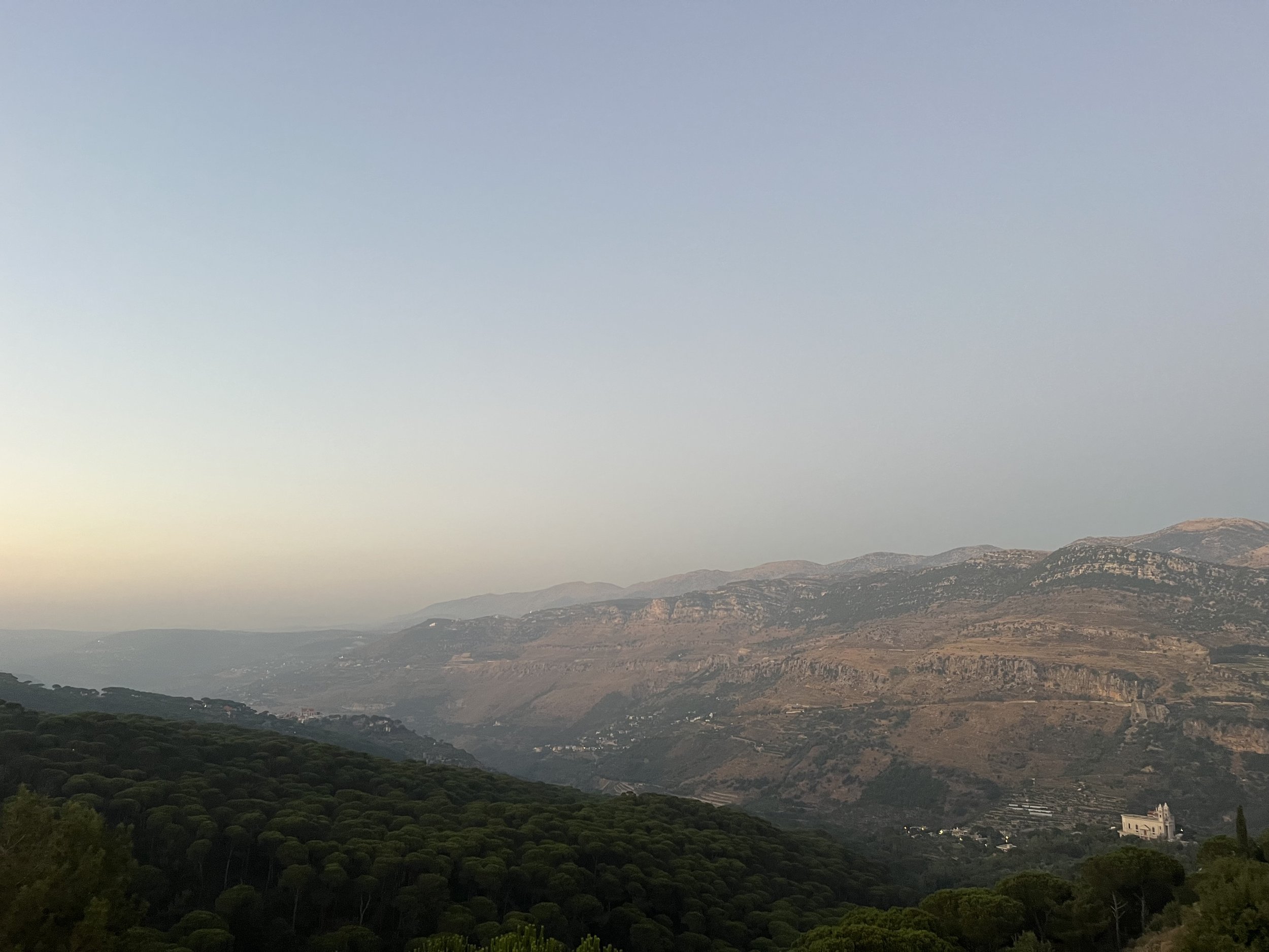 IMG_9211 - Talia Shamoun.jpeg