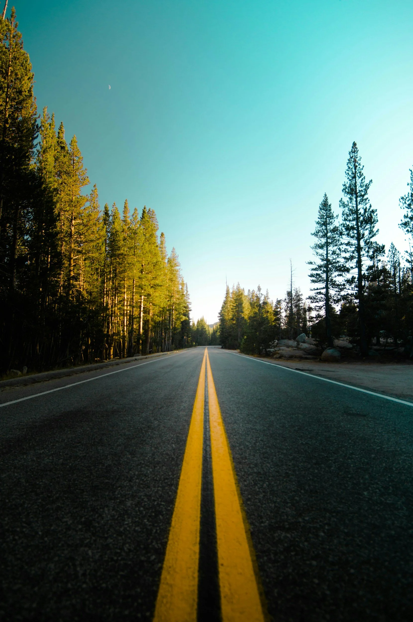 A straight road with double yellow lines stretching into the distance, surrounded by tall pine trees on both sides, under a clear blue sky with a thin crescent moon visible.