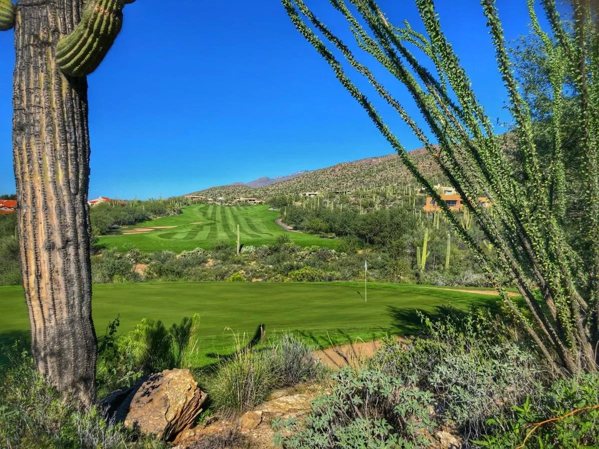 Tucson Senior CHALLENGE: March 5 & 6