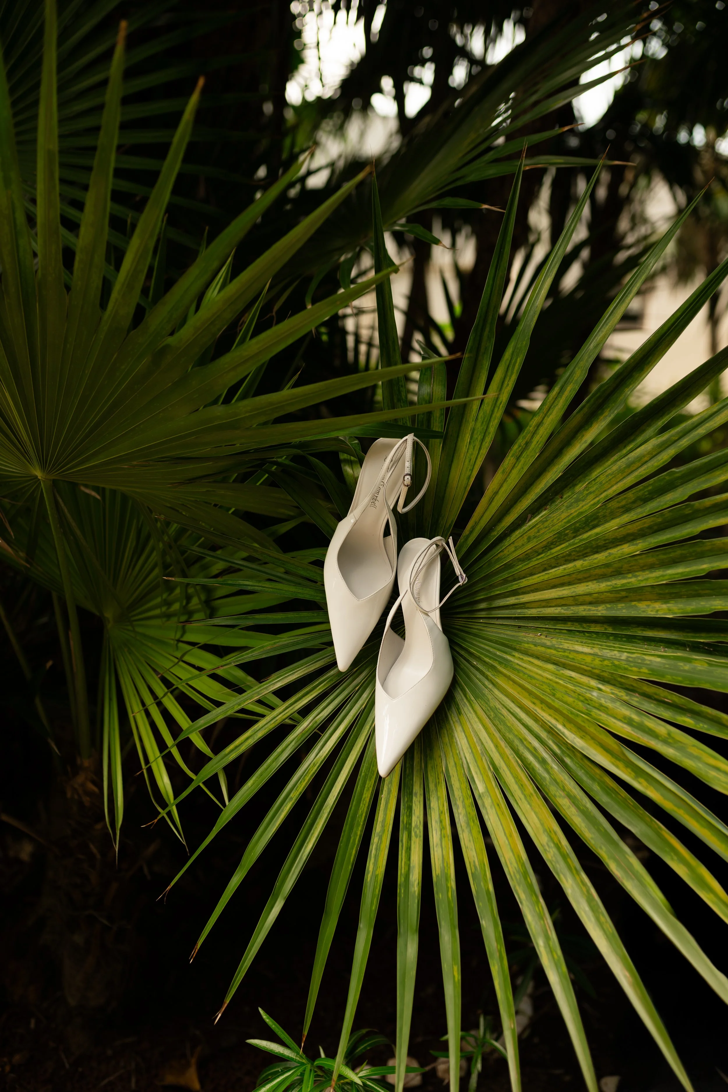 SarahElizPhotography1--3.jpg