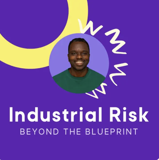 Book cover titled 'Industrial Risk: Beyond the Blueprint,' featuring a smiling man in a green shirt on a purple background with yellow and white graphic elements.