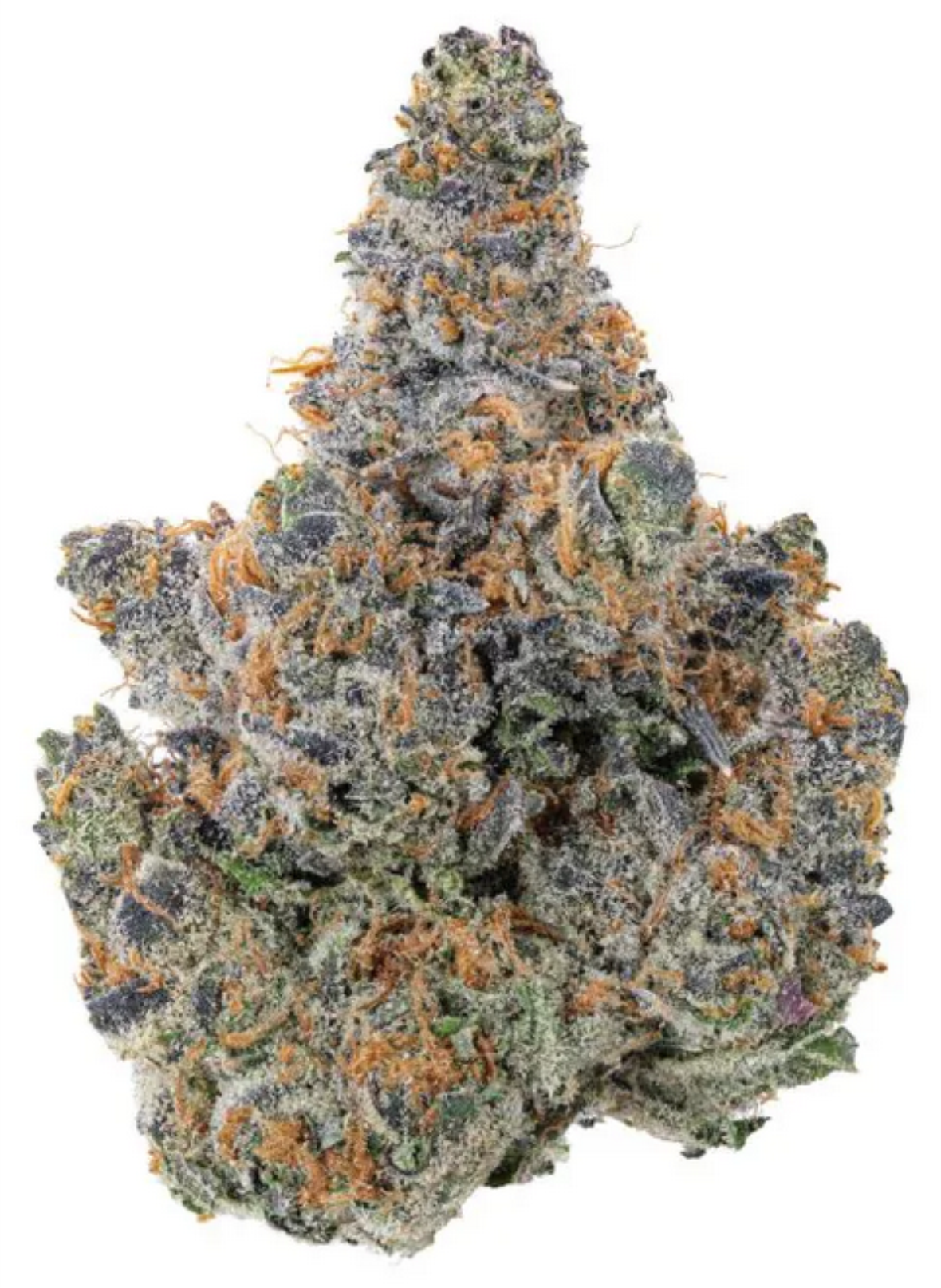 King Louis XIII