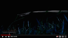 Adfest_Film Mom_sub 1_4.gif
