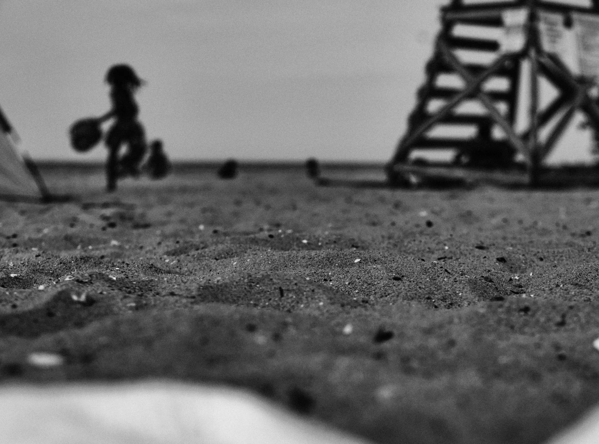 Running in the sand.jpg