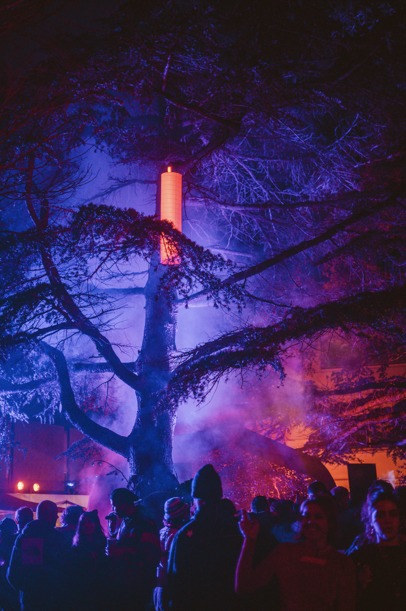 Capture d’écran 2026-04-03 à 15.41.49.png