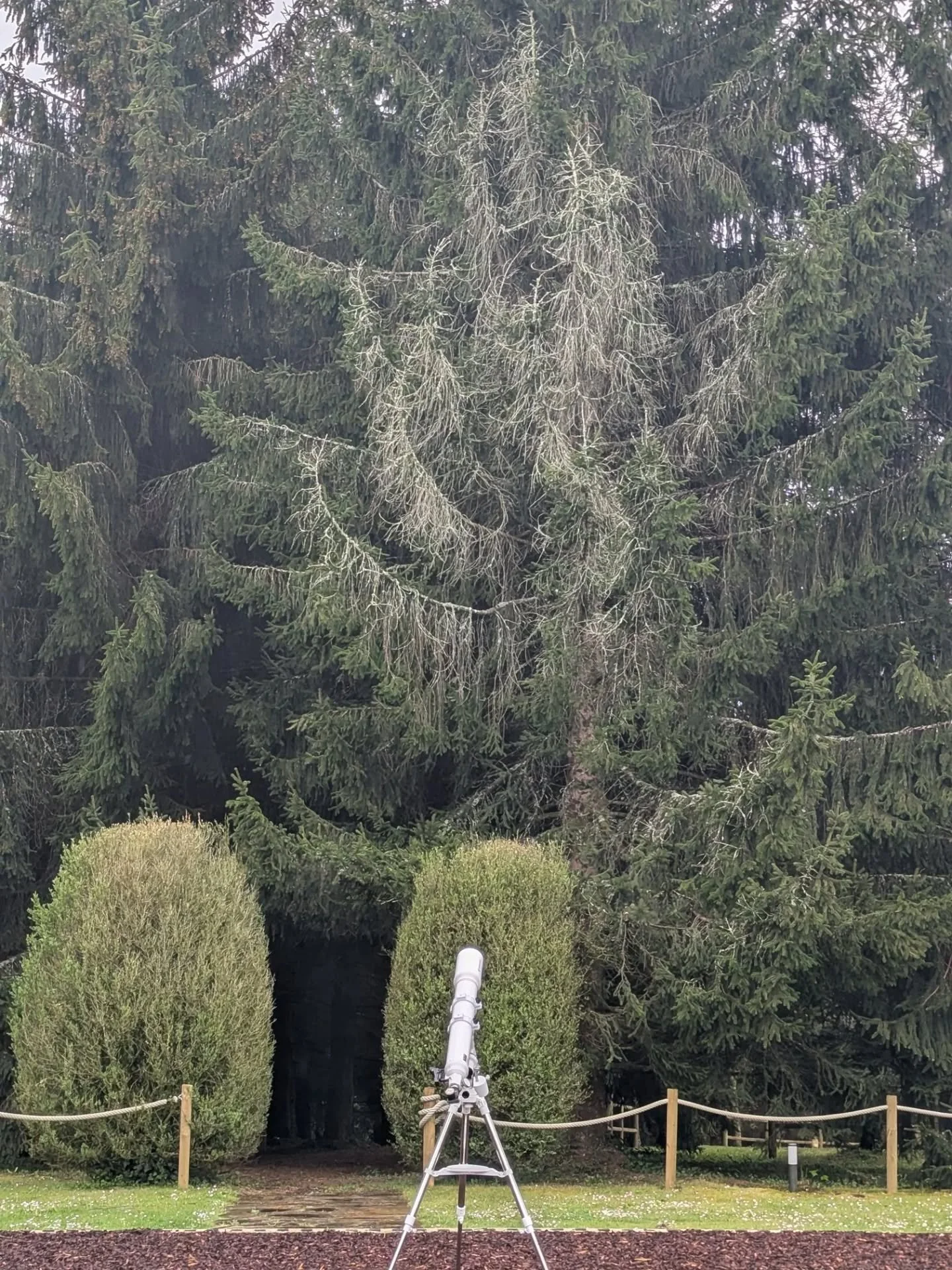 En HolaCamp Camino llueve m&aacute;s que en otras de sus ubicaciones. Es un lugar de calma. Me encanta lo que se siente all&iacute;. 

El otro d&iacute;a llov&iacute;a y nos di&oacute; igual. El verde era m&aacute;s verde. Se respira diferente y se v