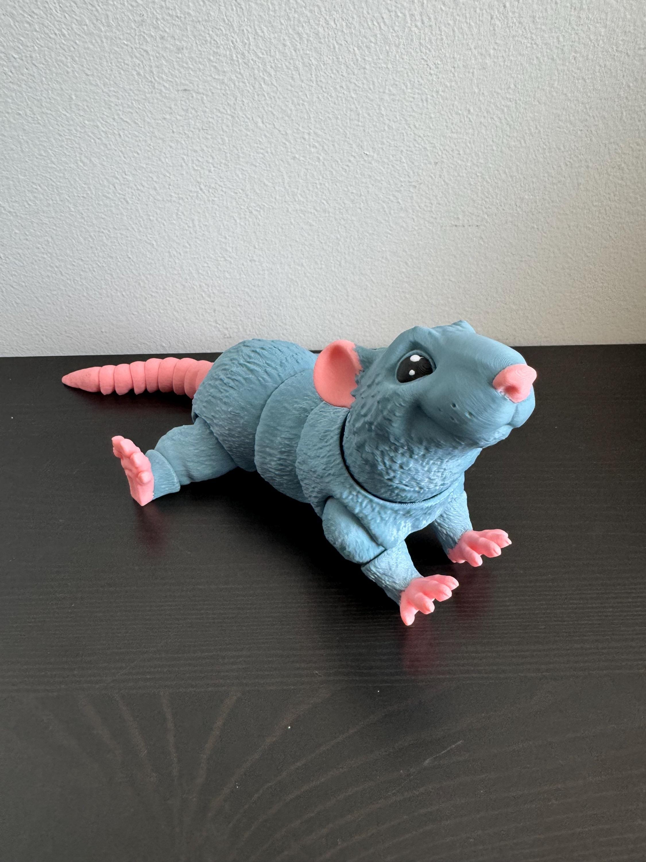https://i.etsystatic.com/41542385/r/il/816c98/6153286259/il_fullxfull.6153286259_b90z.jpg