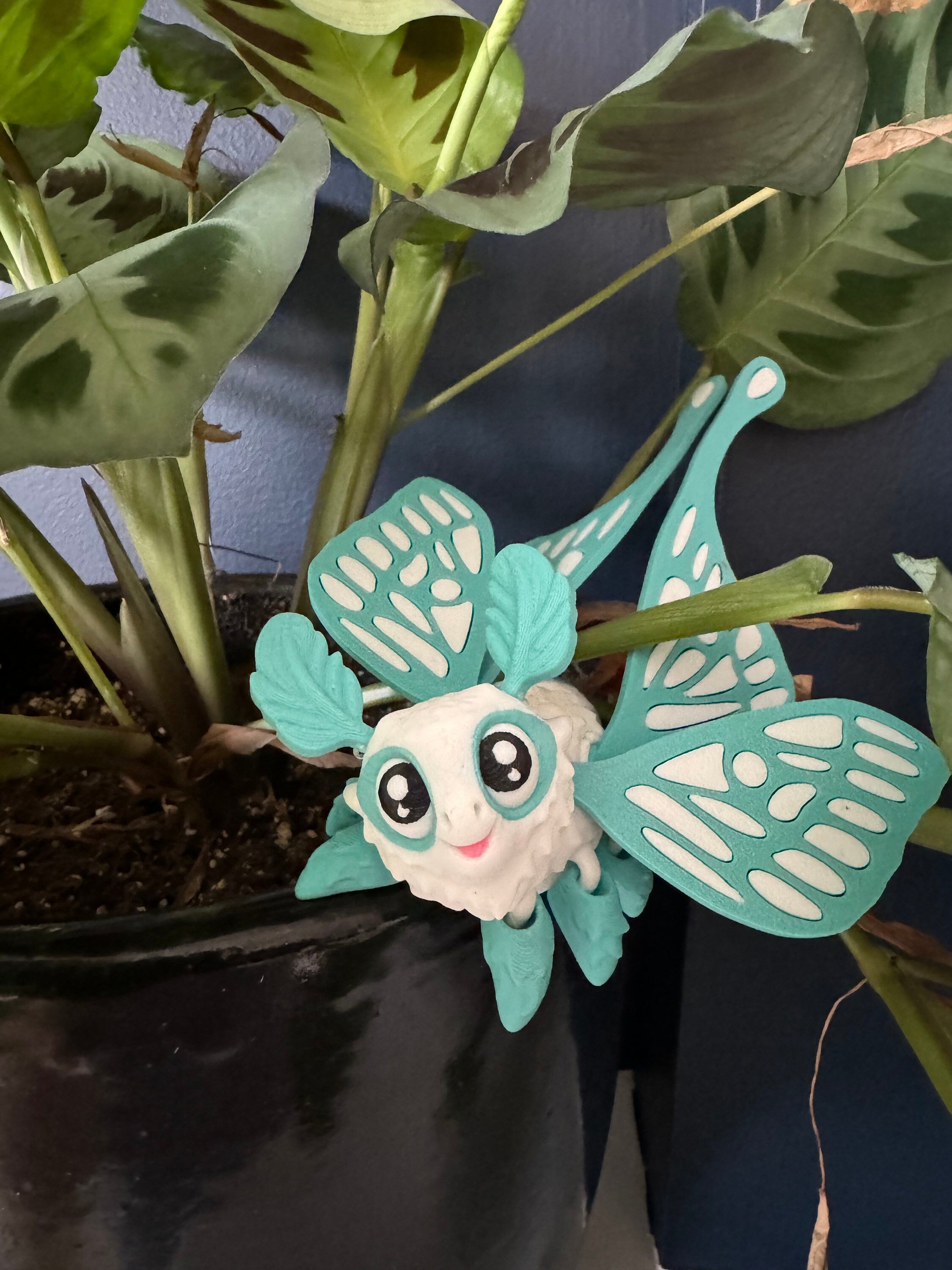 https://i.etsystatic.com/41542385/r/il/261011/5954538999/il_fullxfull.5954538999_cdn2.jpg