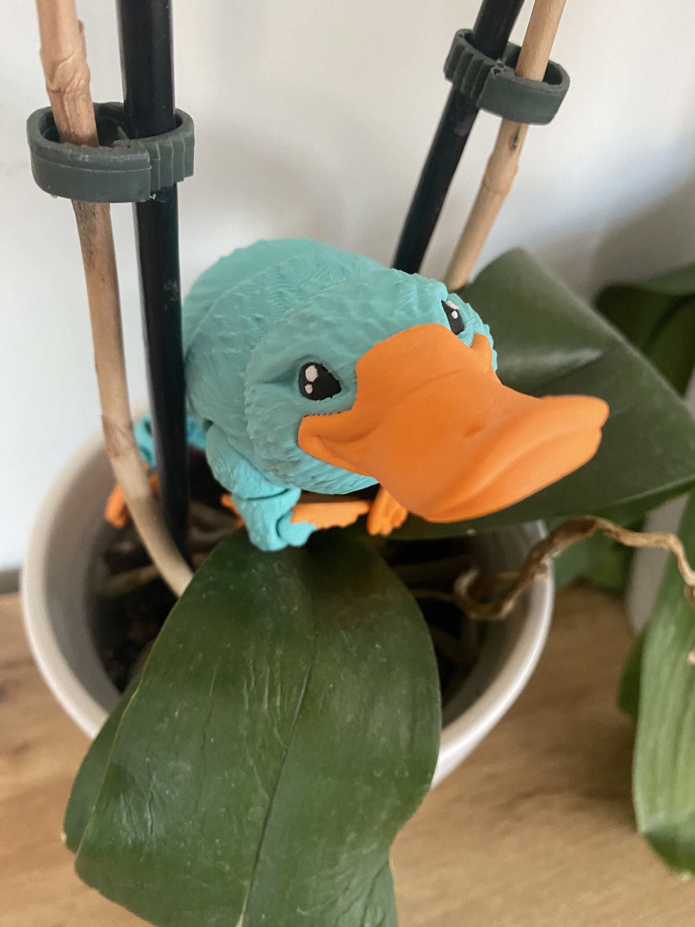https://i.etsystatic.com/41542385/r/il/772401/5791497136/il_fullxfull.5791497136_d7mc.jpg