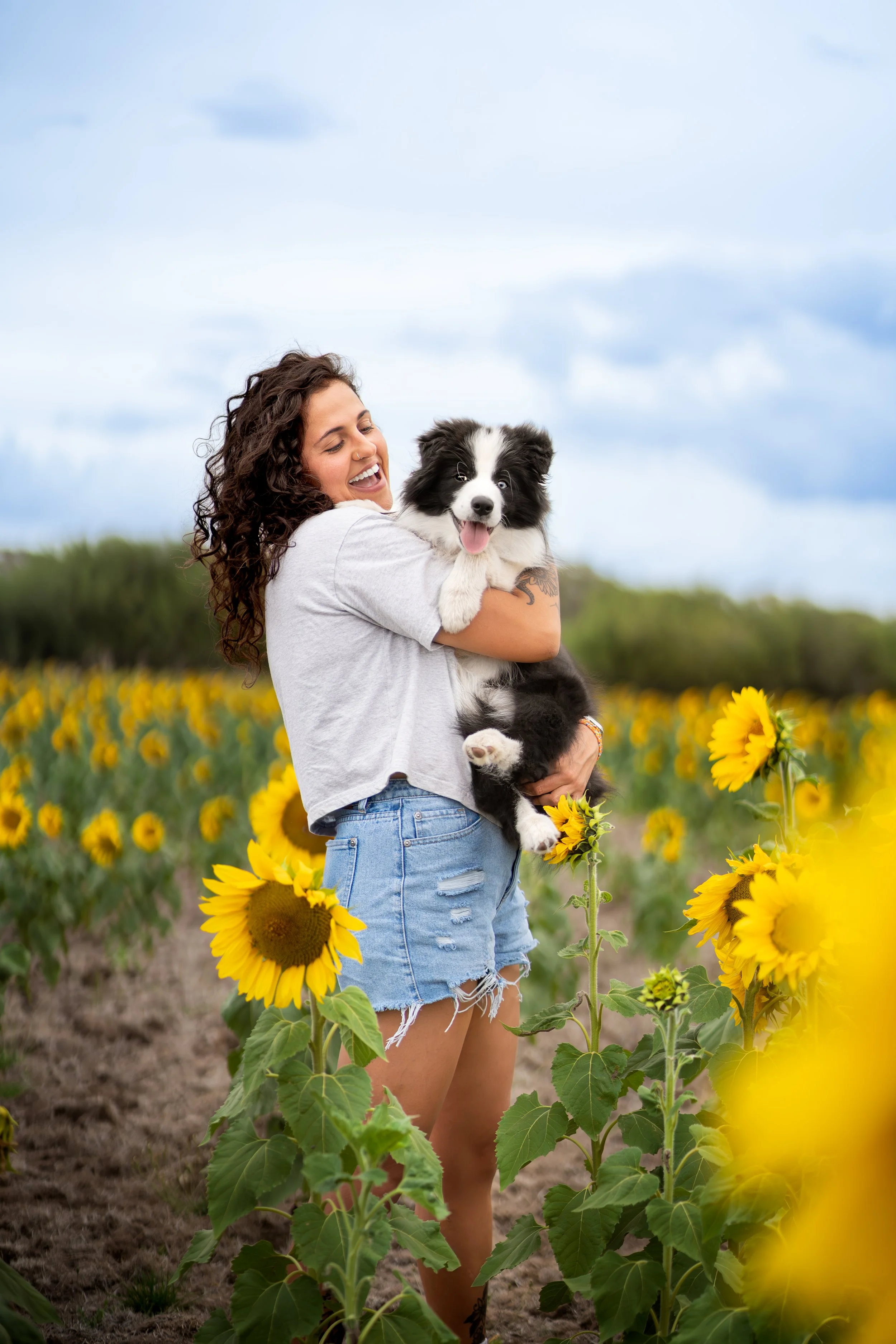 A woman holding a black and white puppy in a sunflower field outdoors with a cloudy sky.