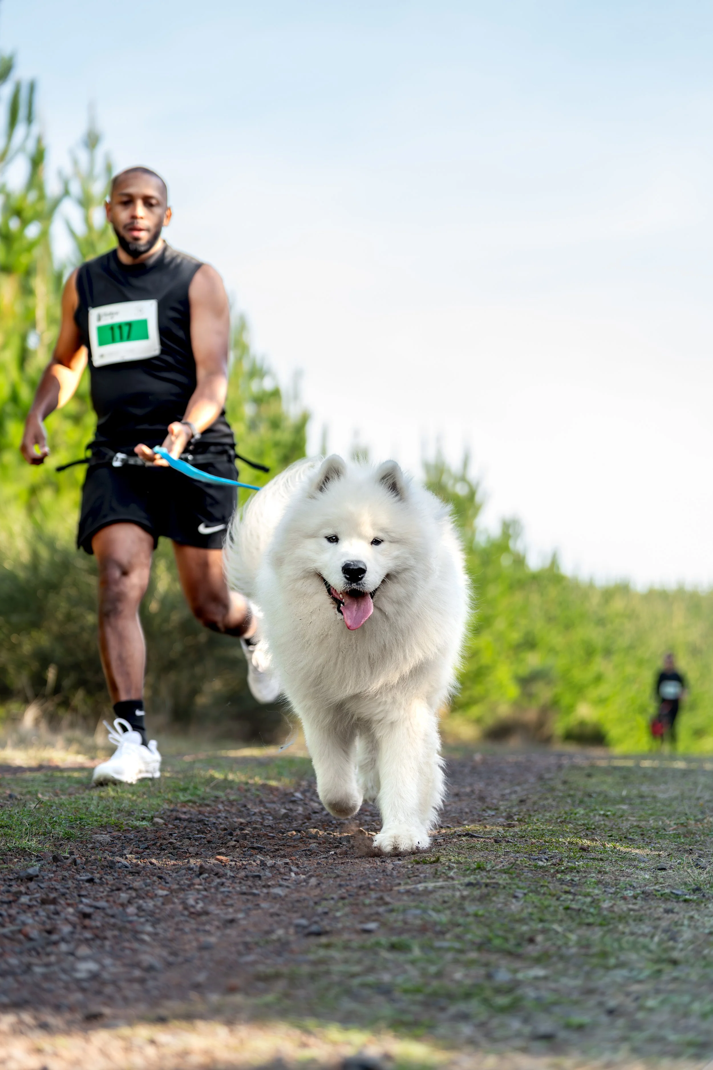 A man participating in a dog race or walk with a fluffy white dog running ahead on a dirt trail in a green, outdoor setting.