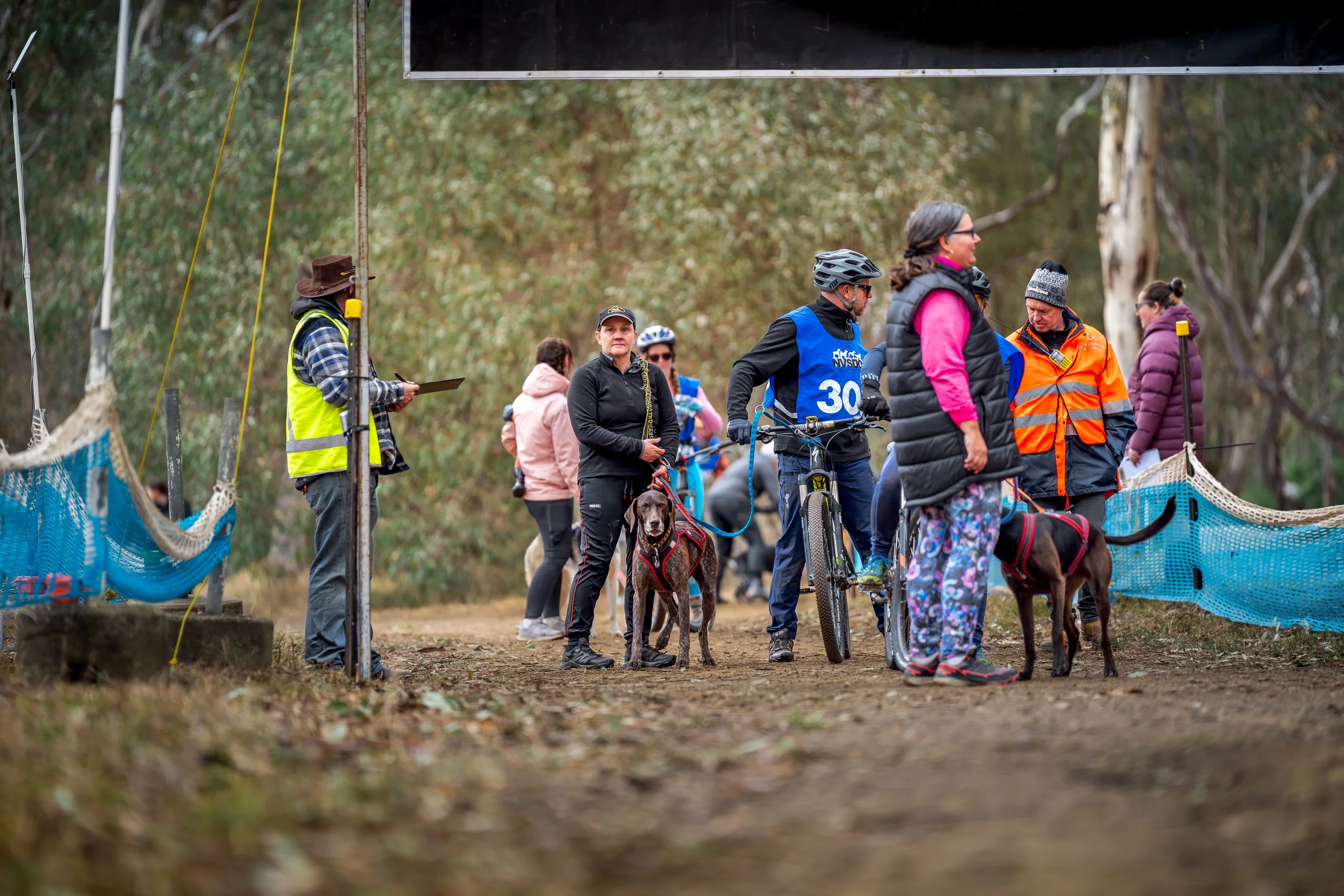 People at a trailhead with dogs and bicycles, preparing for a race or hike in a wooded area.
