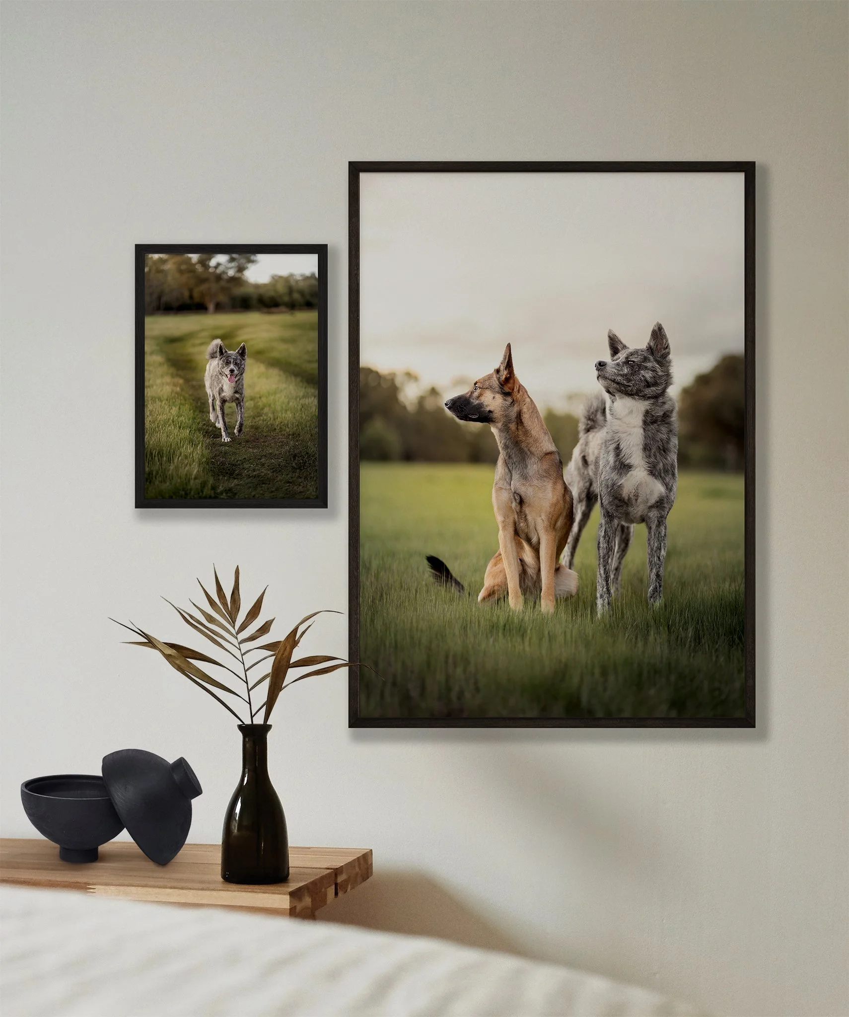 Interior wall with two framed dog photos and a vase with dried leaves on a wooden bedside table.