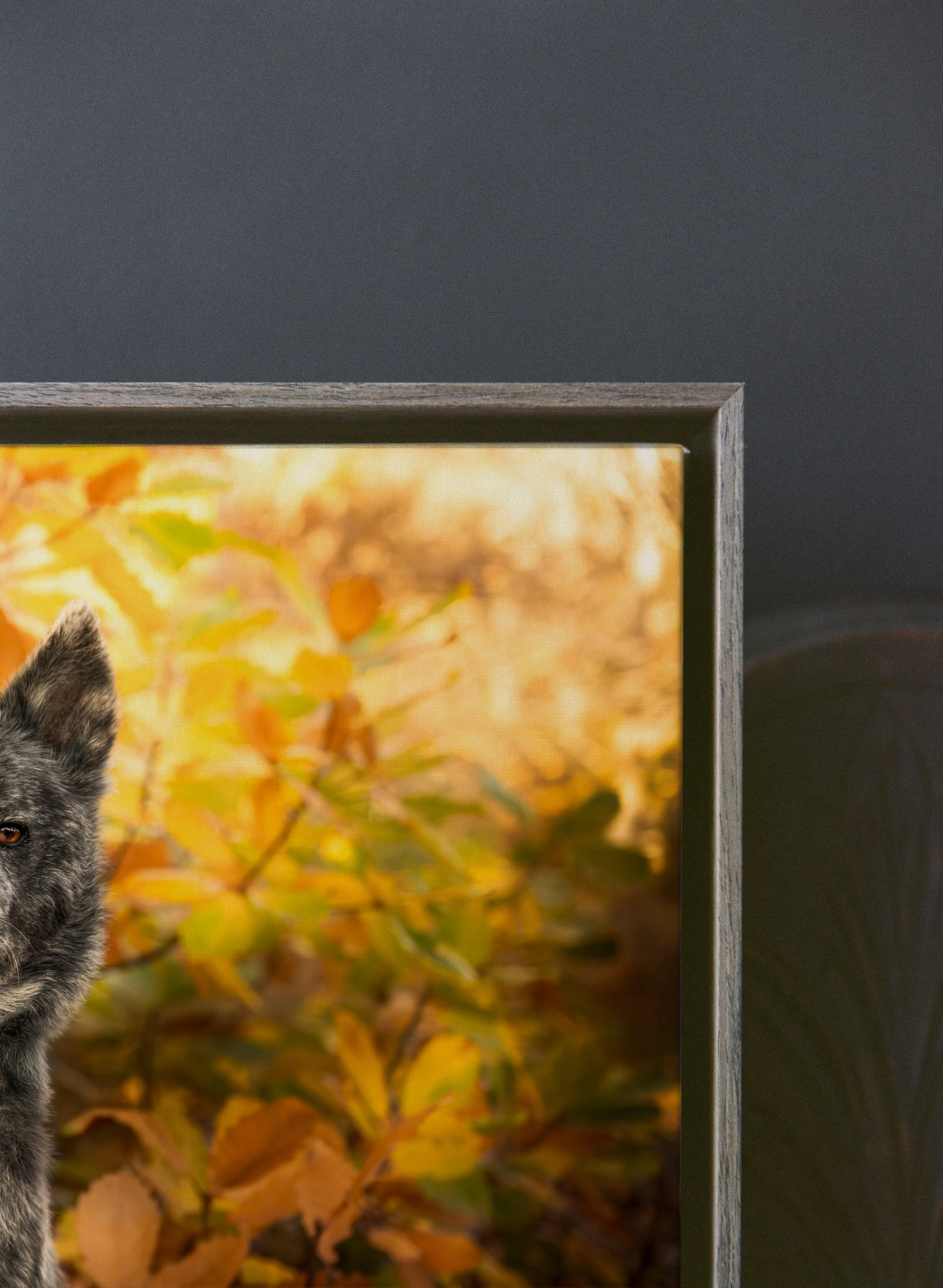 Partial view of a computer monitor displaying a fall-themed background with orange and yellow leaves, with a gray textured frame, against a dark gray wall.