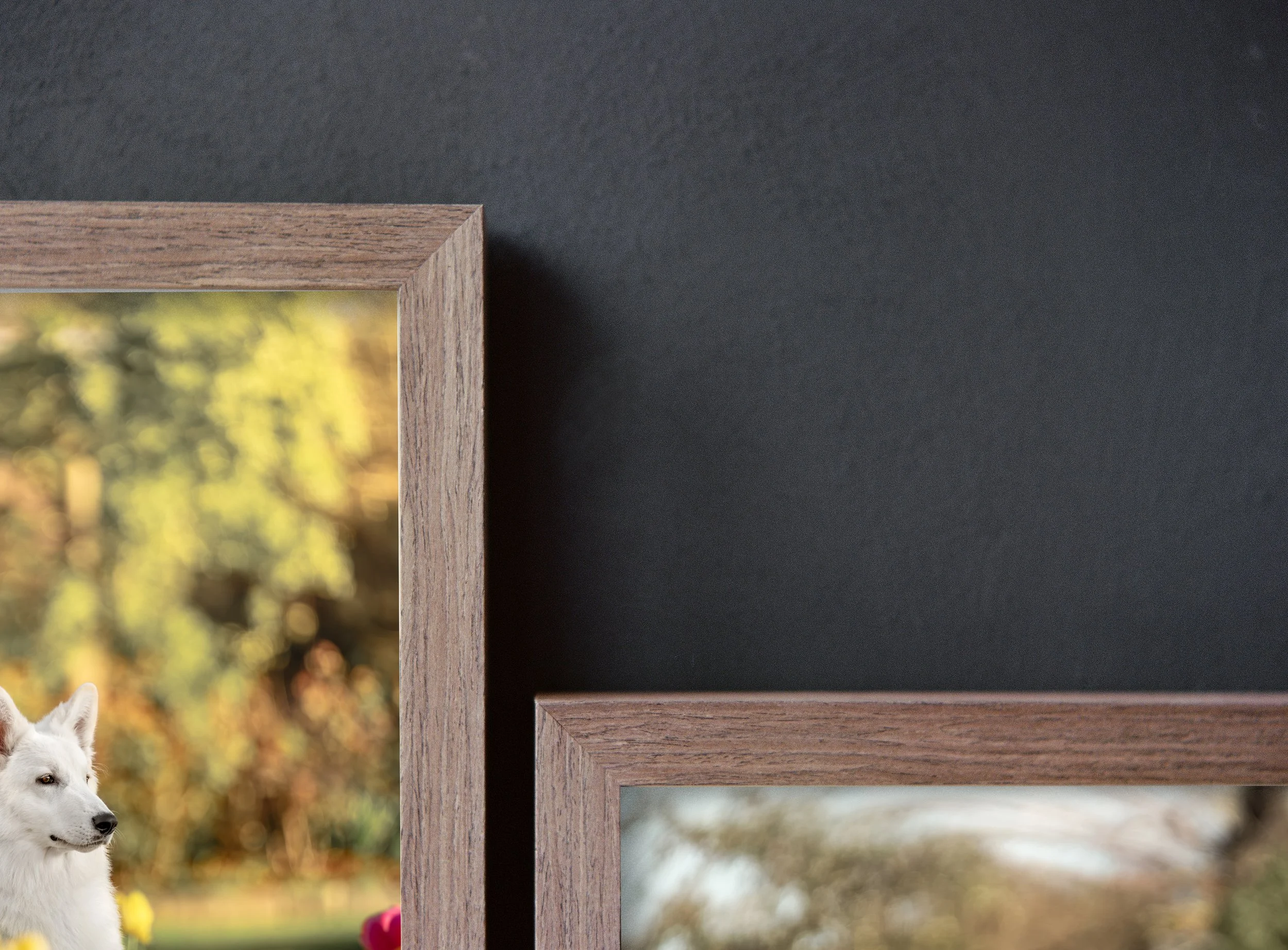 Close-up of two wooden picture frames on a black wall, with a blurred outdoor scene visible through the frames.