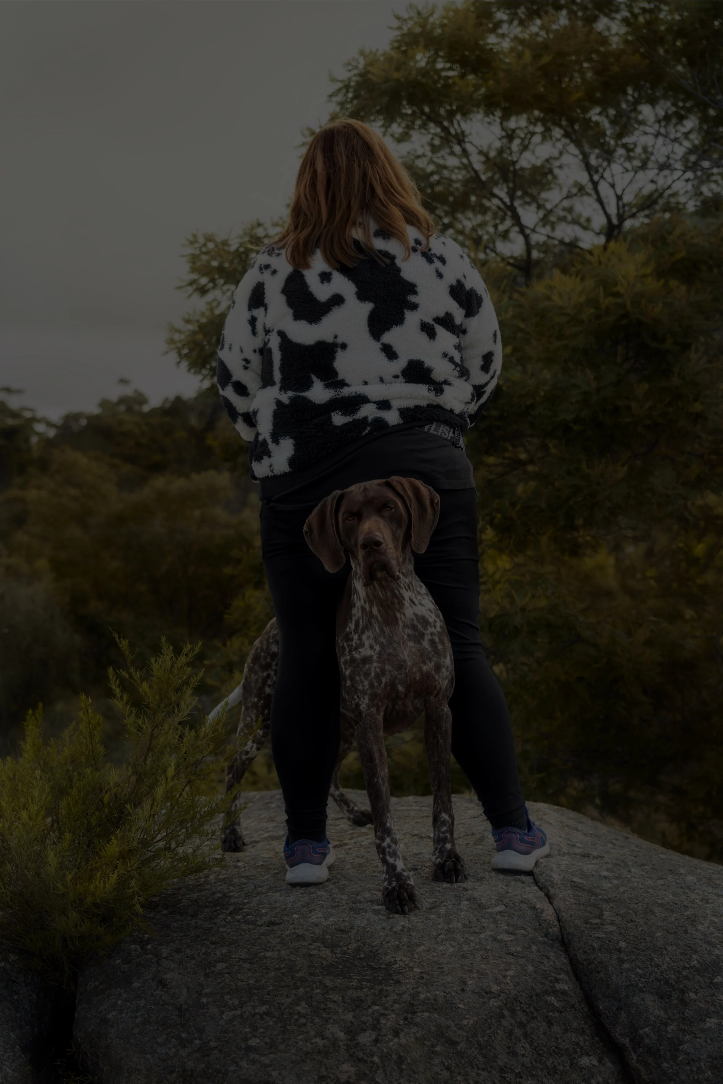 A person standing on a rock with a dog, both looking away from the camera, in an outdoor, natural setting with trees.