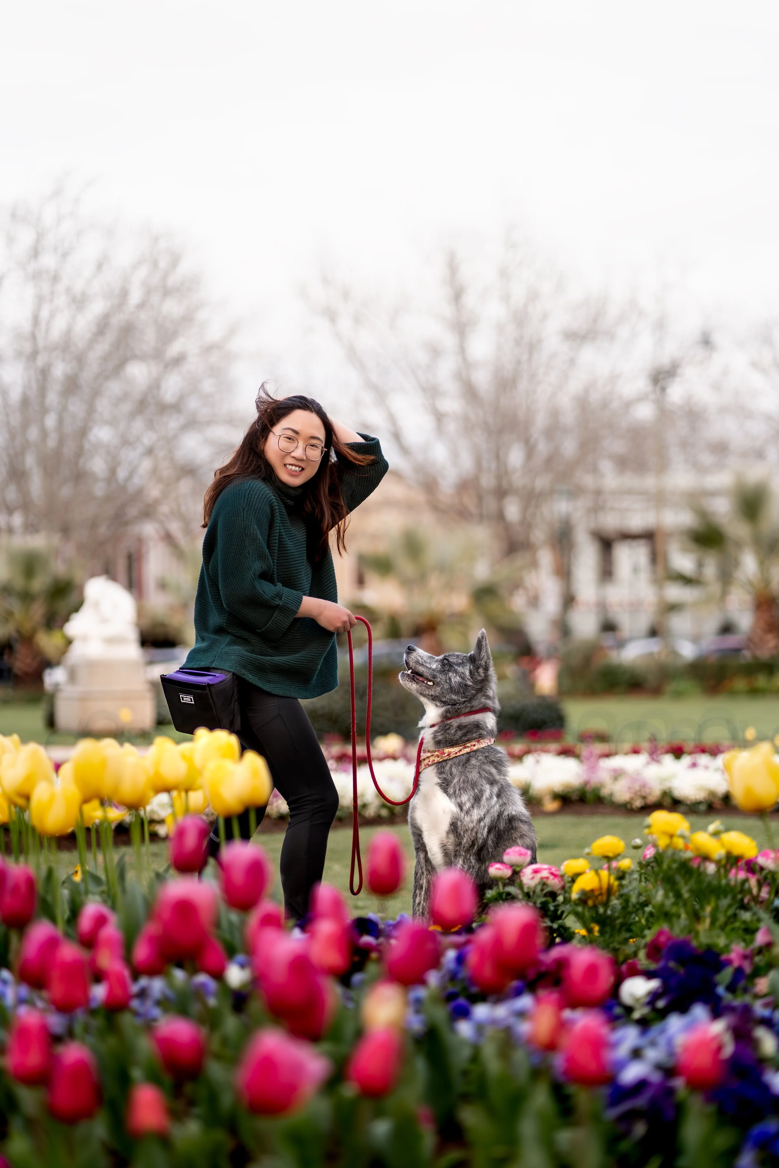 A smiling woman in a green sweater walking her dog in a colorful garden with tulips, with trees in the background