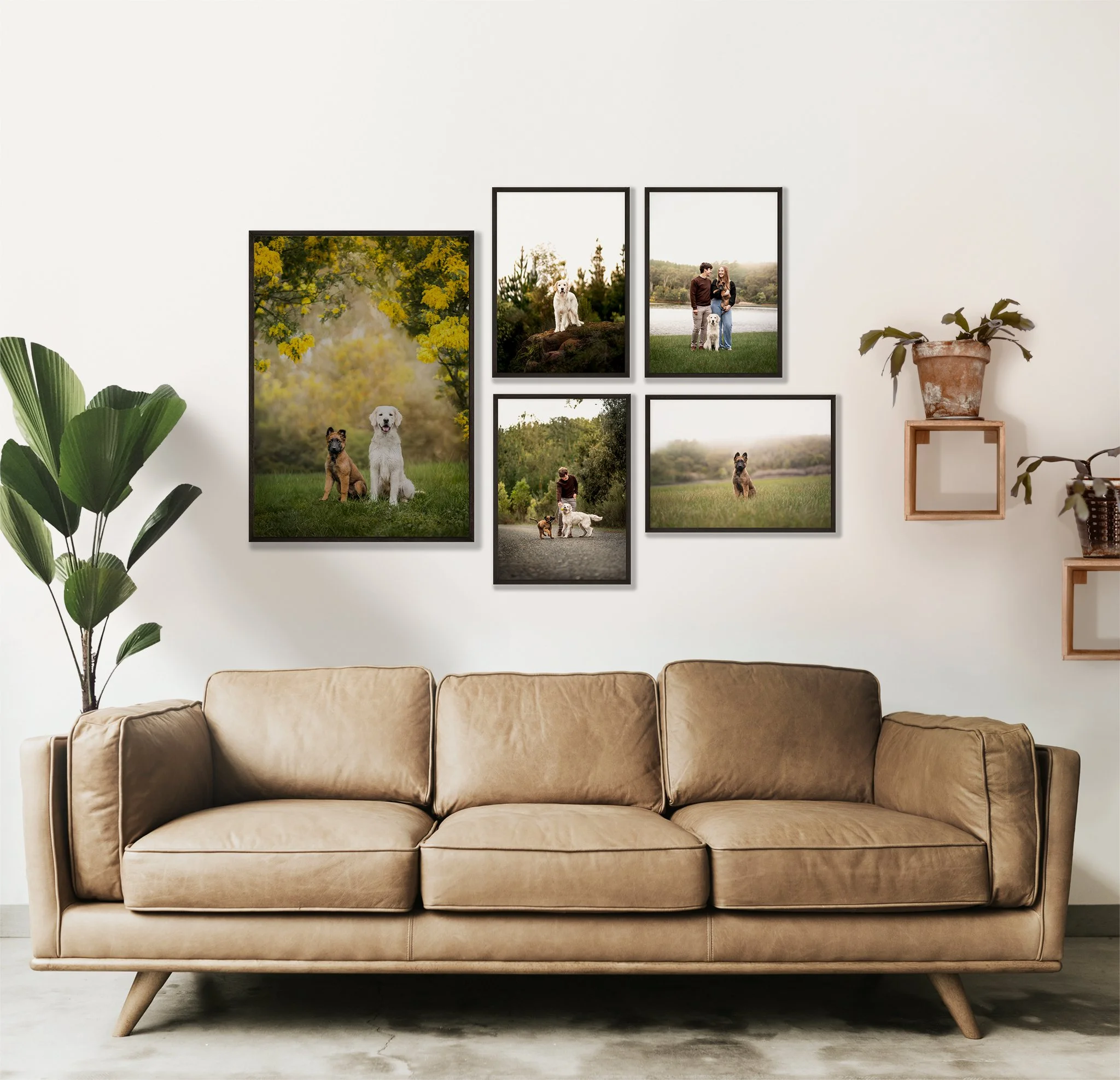 Living room with beige sofa, green plant on the left, and photo collage of dogs and people on the white wall.
