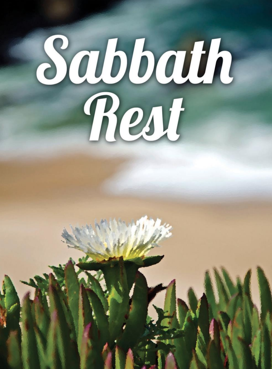 July 2024 Newsletter