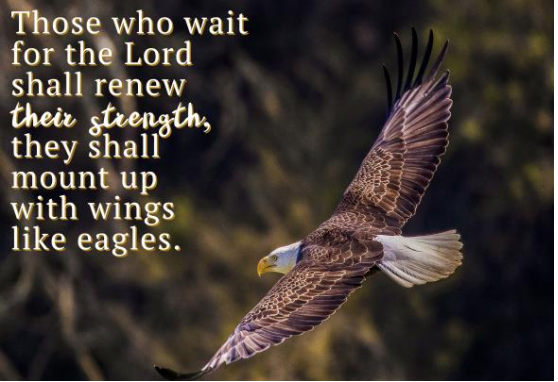 Week of July 20 Newsflash