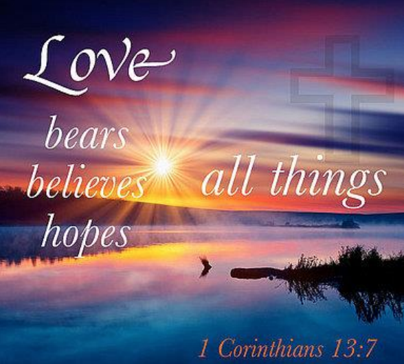 Week of August 15 Newsflash