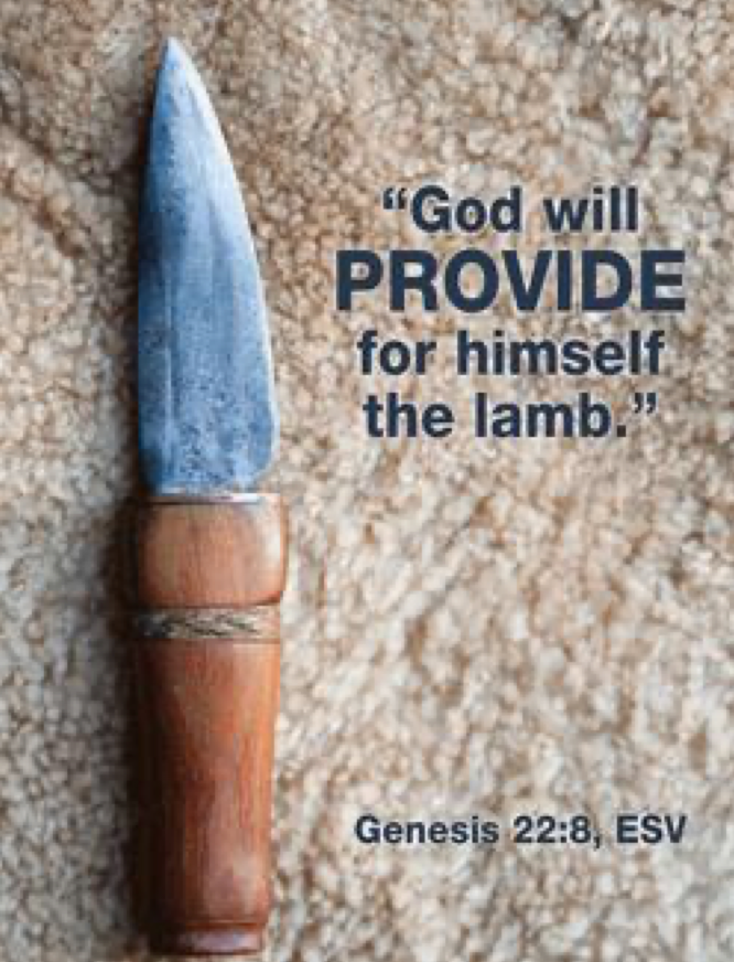 Week of August 22 Newsflash