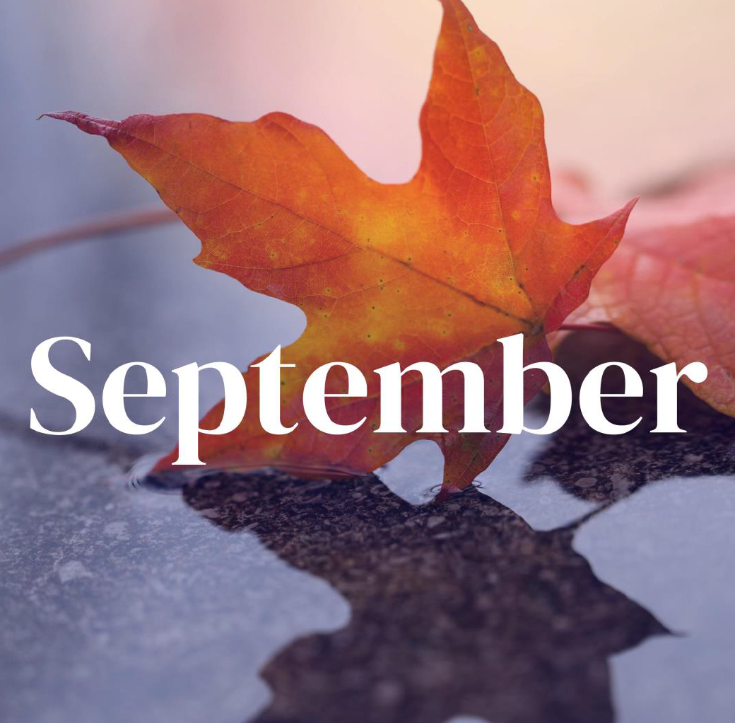 September 2024 Newsletter