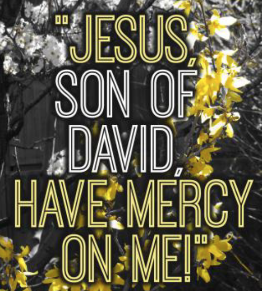 Week of October 24 Newsflash