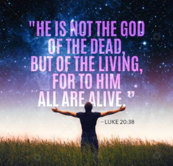 Week of October 31 Newsflash