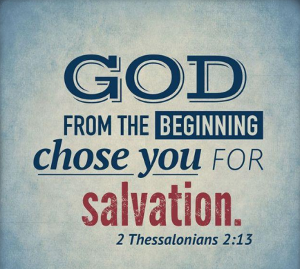 Week of November 7 Newsflash