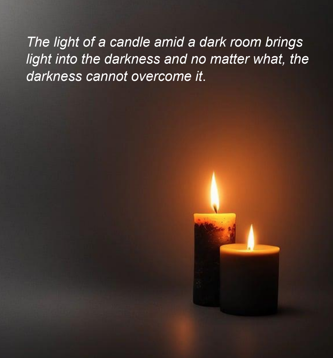 January 2025 Newsletter