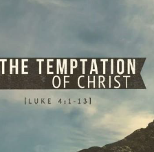 Week of March 6 Newsflash