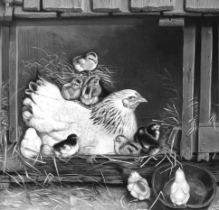 Week of March 13 Newsflash