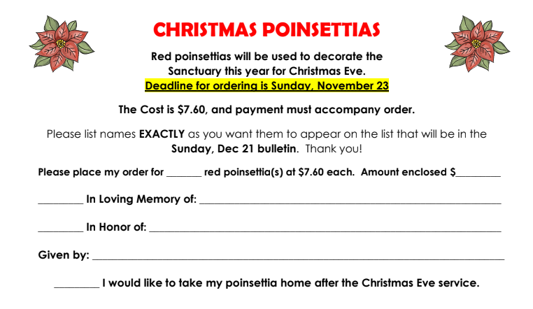 Christmas Poinsettias