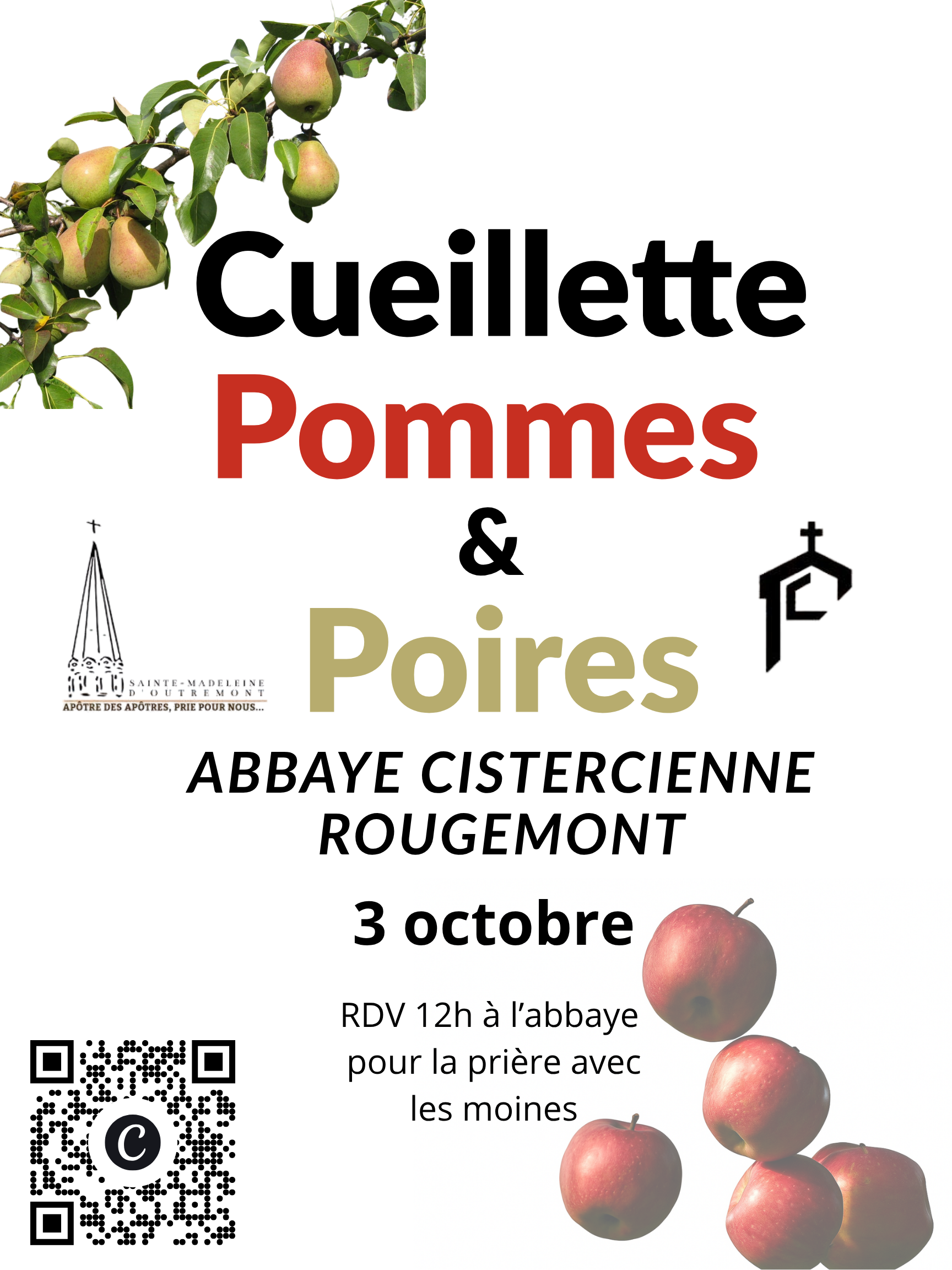Cueillette de pommes à l’abbaye