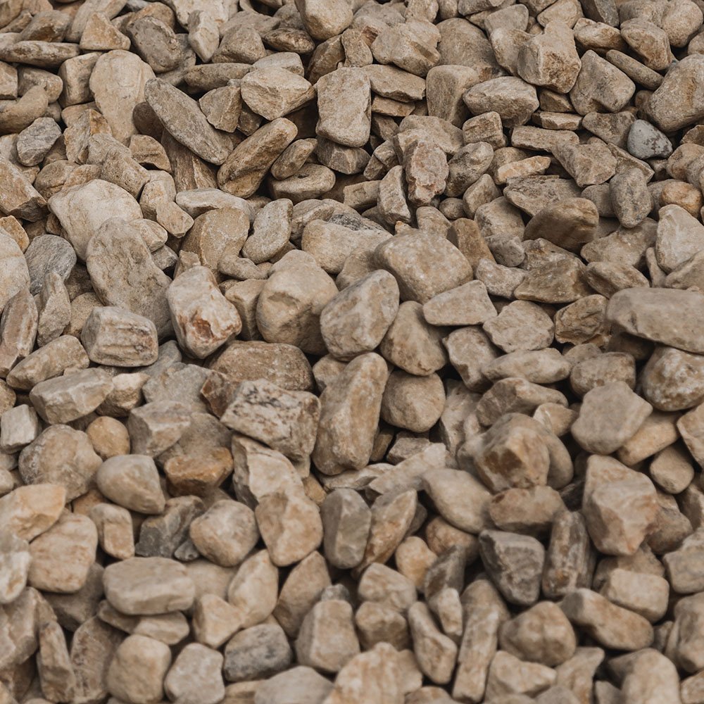 Brown Medium #57