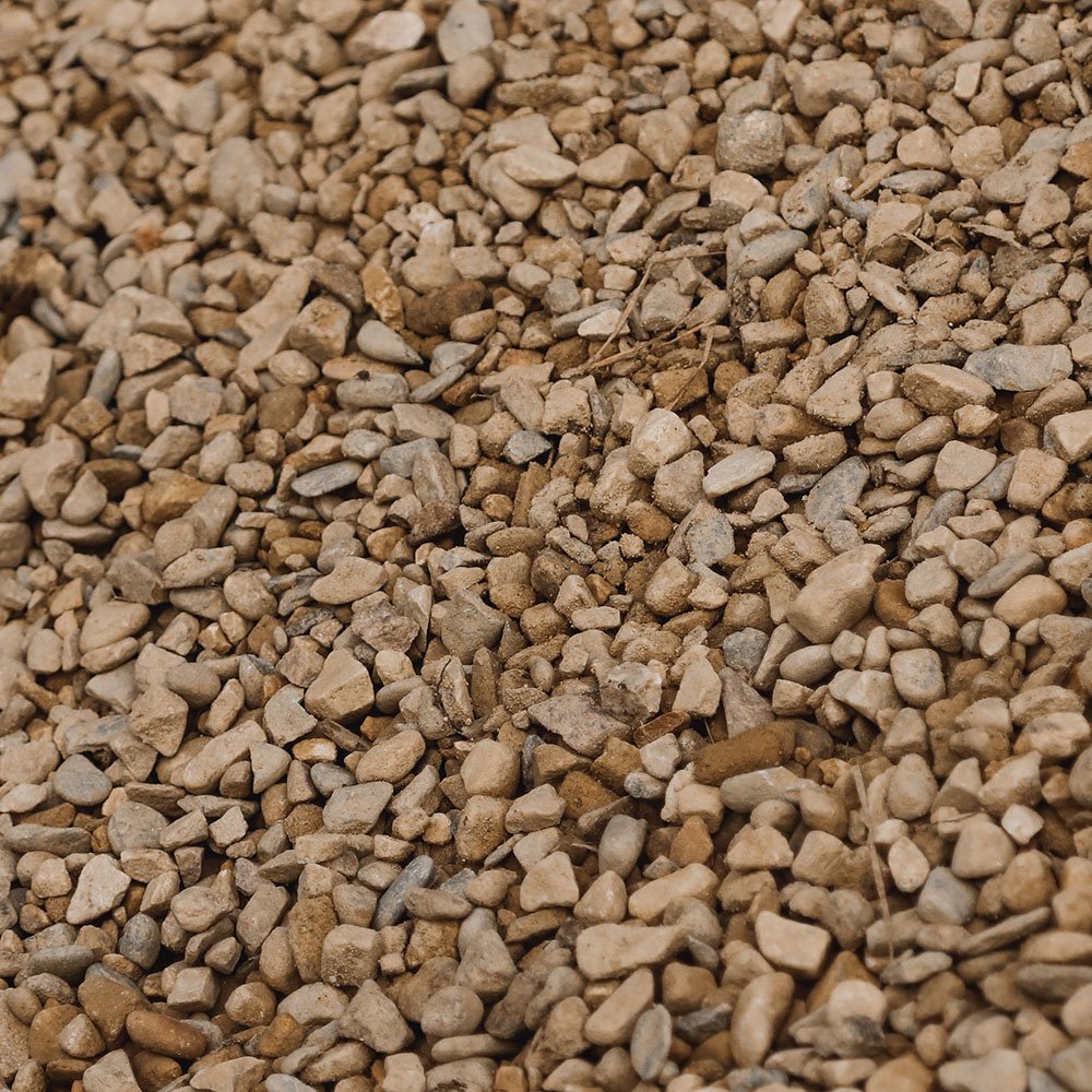 Brown Pea #78