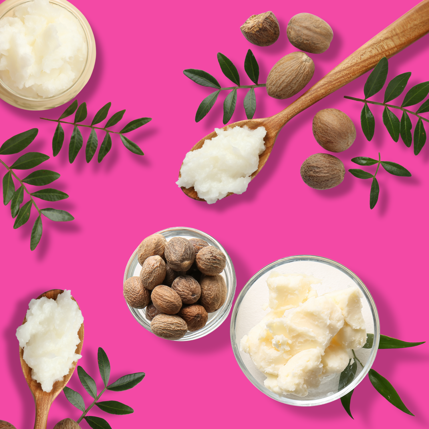 Different types of shea butter in small bowls and on spoons, surrounded by shea nuts and green leaves on a pink background.