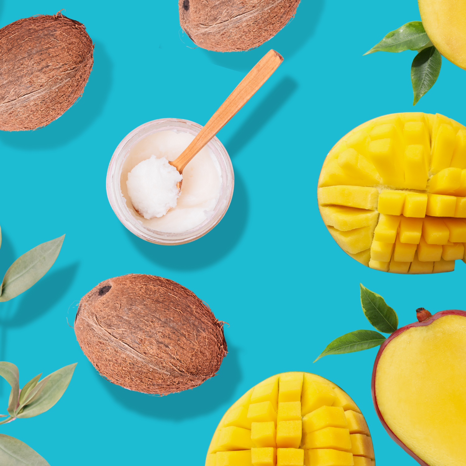 Halved mangoes and whole coconuts on a blue background with a jar of coconut yogurt and leaves.
