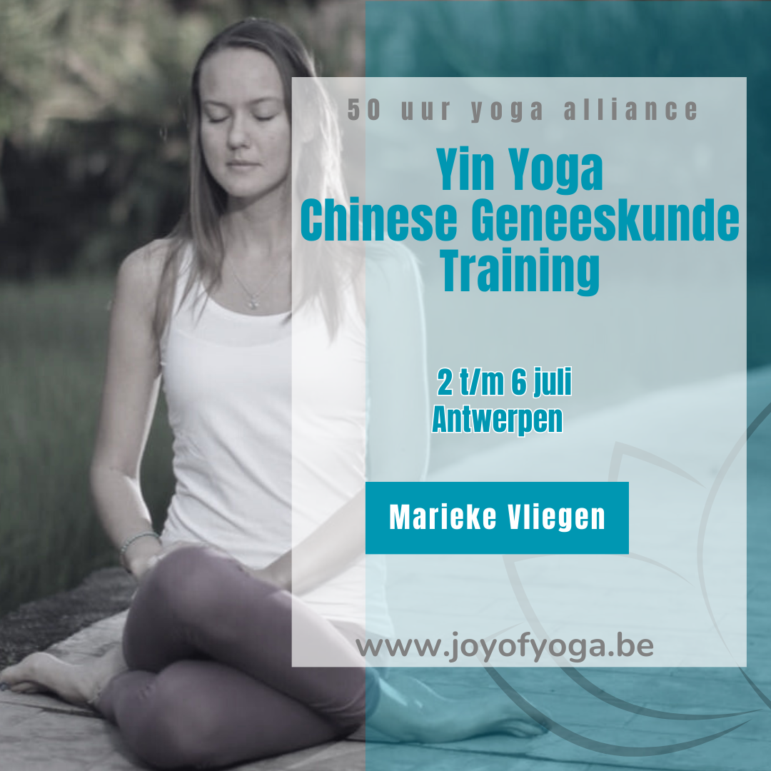  50 u Yin Yoga & Chinese Geneeskunde Training
