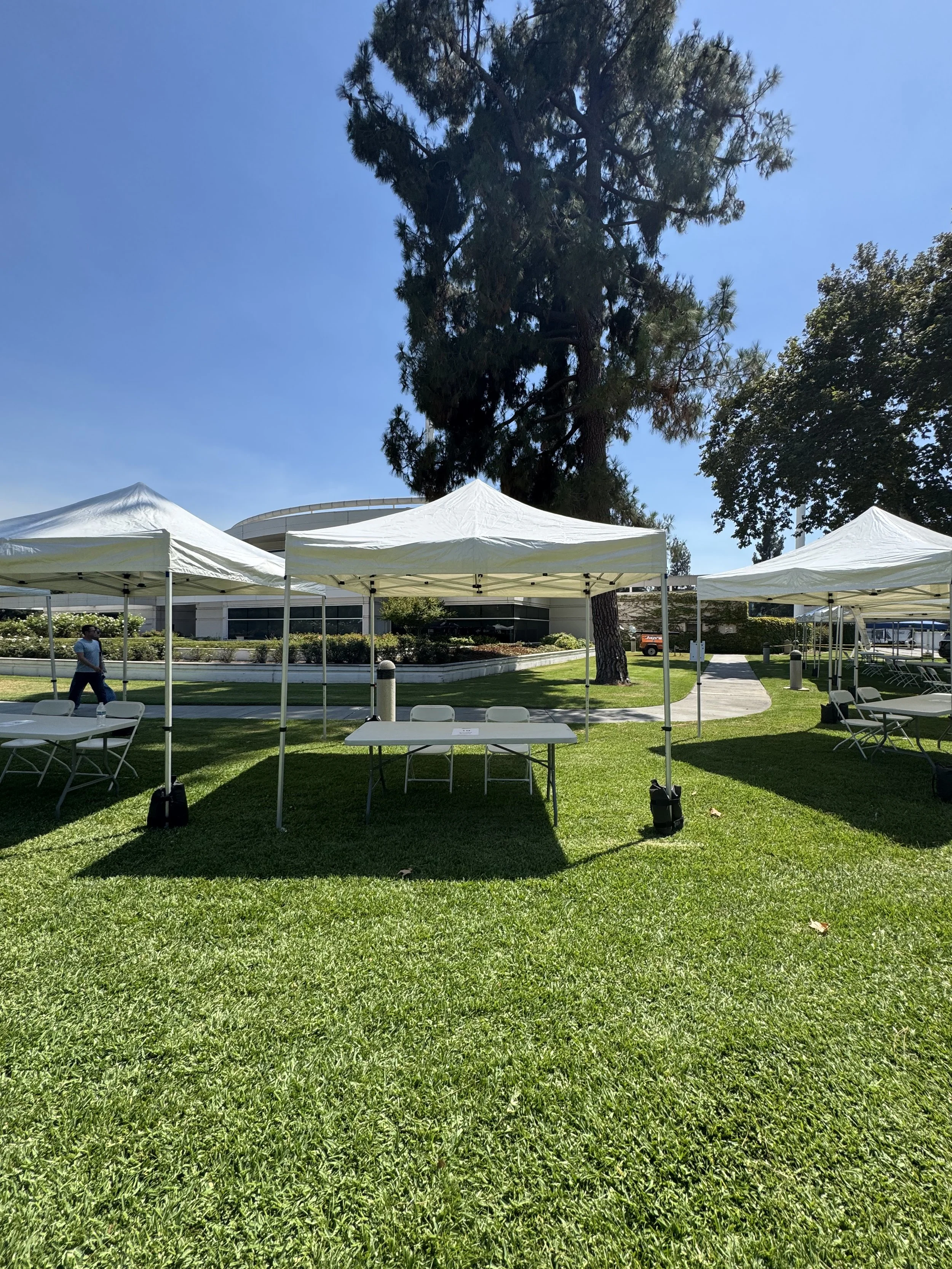 Outdoor setup with white tents, tables, and chairs on a grassy area under a large tree on a sunny day.