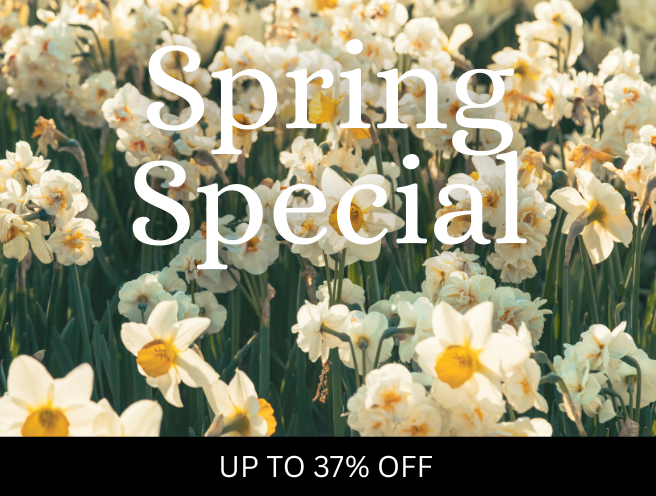 Autumn promotional advertisement with fall leaves border, wooden background, and bold white text offering up to 37% off on fall specials.