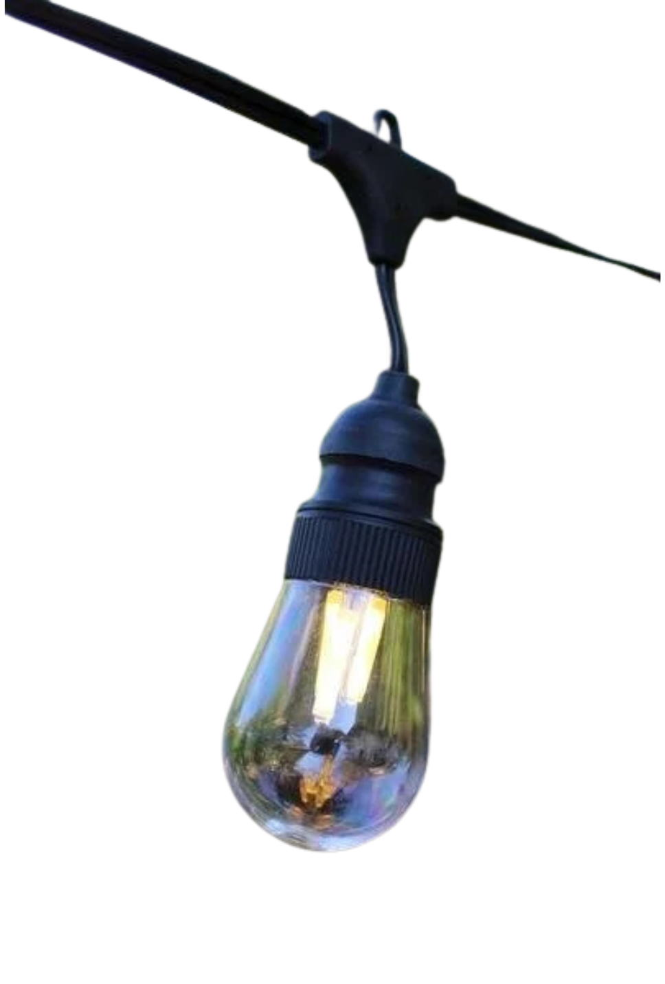 48' EDISON BULB STRING LIGHTS W/BLACK WIRE