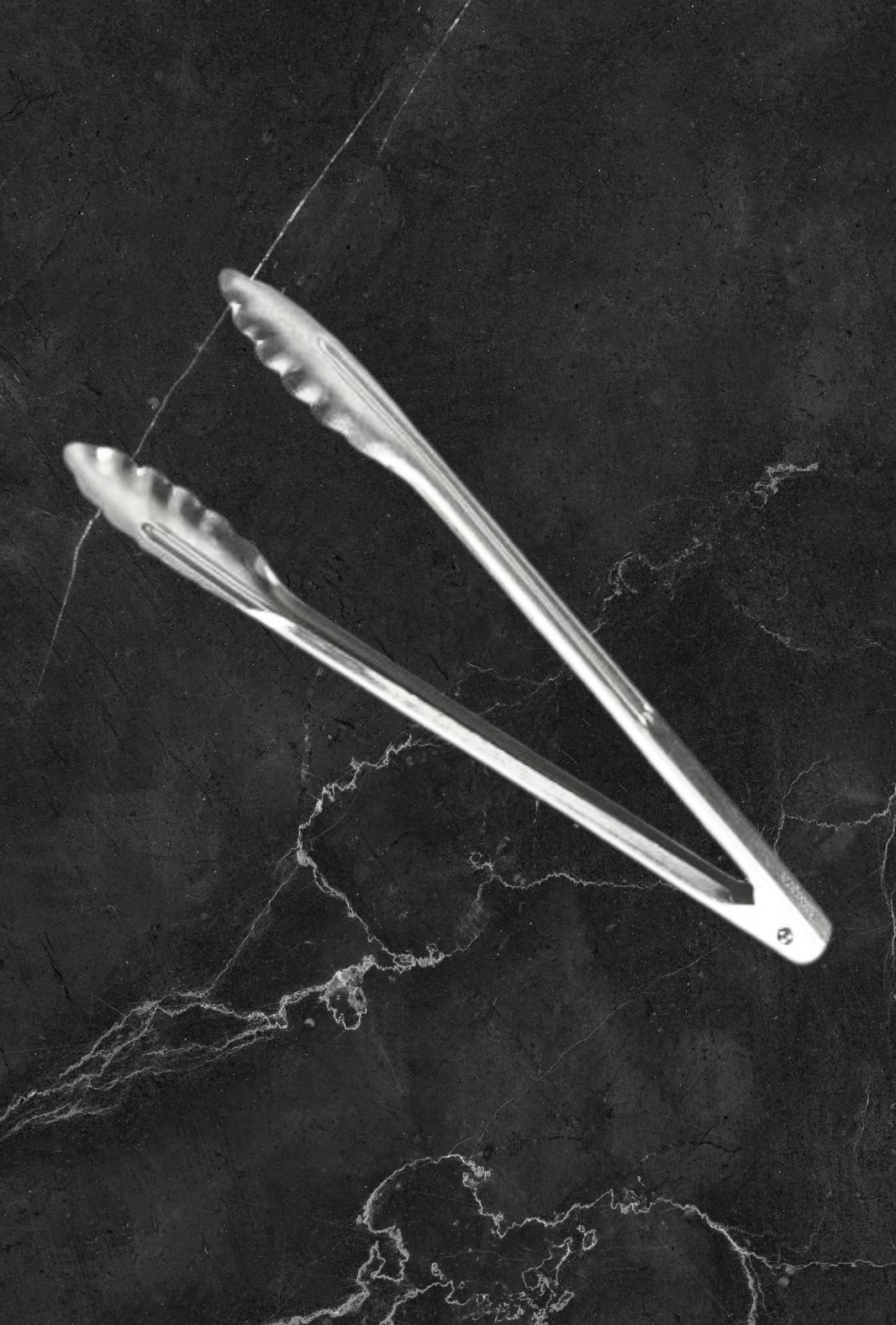SPRING TONGS