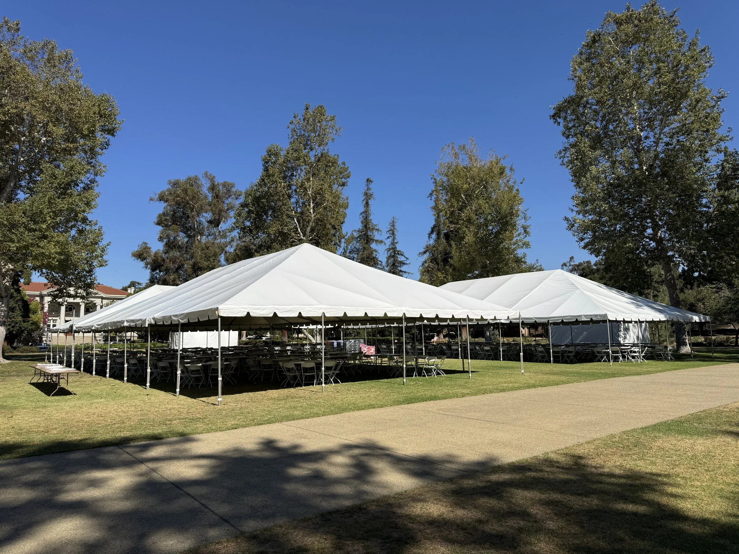 Large white event tents set up on a grassy area with trees in the background and a clear blue sky.