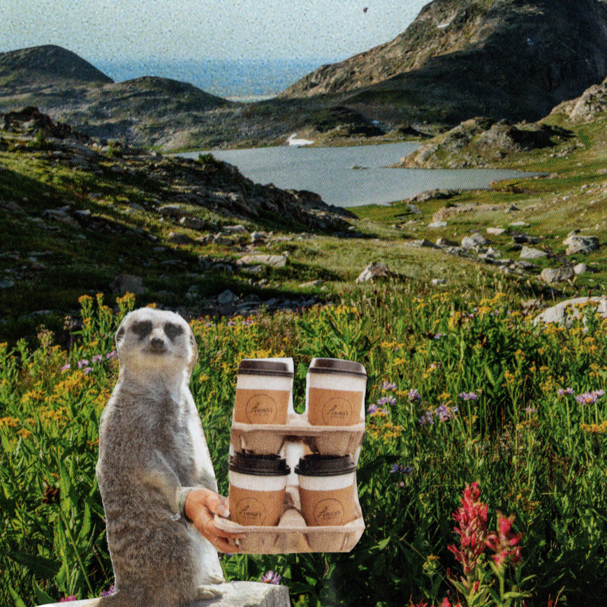 Collage Postcard Animation