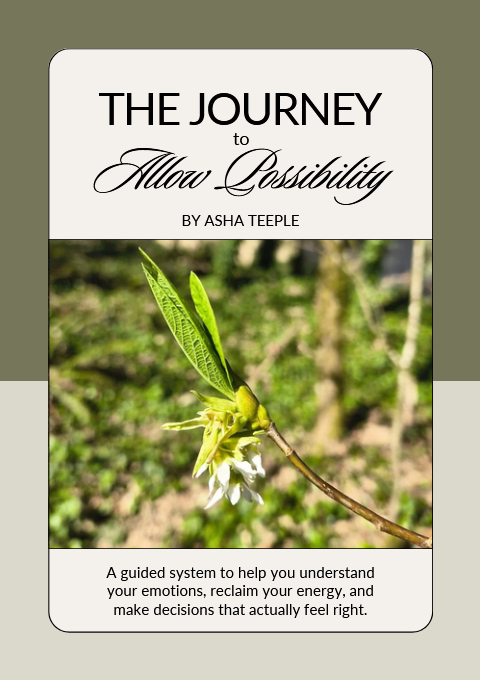 The Journey to Allow Possibilities Workbook